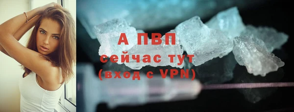 ECSTASY Гусев