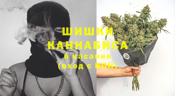 ECSTASY Гусев