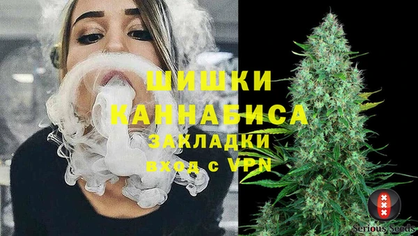 ECSTASY Дмитровск